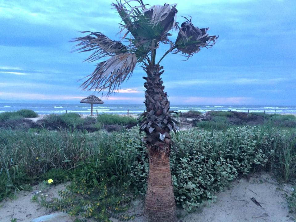 Unobstructed Oceanfront Sea Turtle Unit 2 Beach Pad! サーフサイド・ビーチ エクステリア 写真